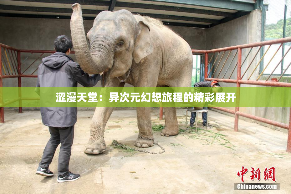 涩漫天堂：异次元幻想旅程的精彩展开
