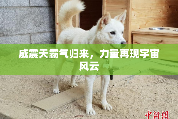 威震天霸气归来，力量再现宇宙风云