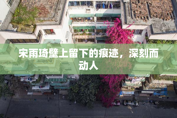 宋雨琦壁上留下的痕迹，深刻而动人