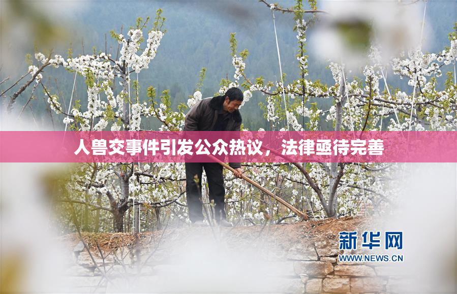 人兽交事件引发公众热议，法律亟待完善