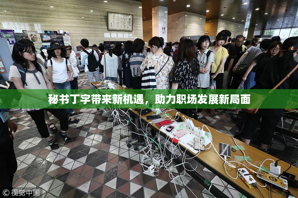 秘书丁字带来新机遇，助力职场发展新局面