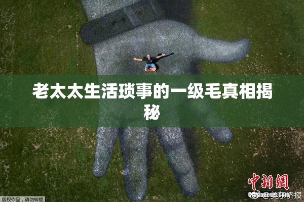 老太太生活琐事的一级毛真相揭秘