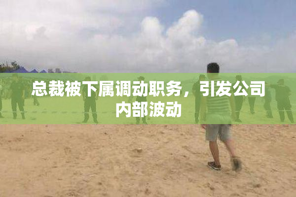 总裁被下属调动职务，引发公司内部波动