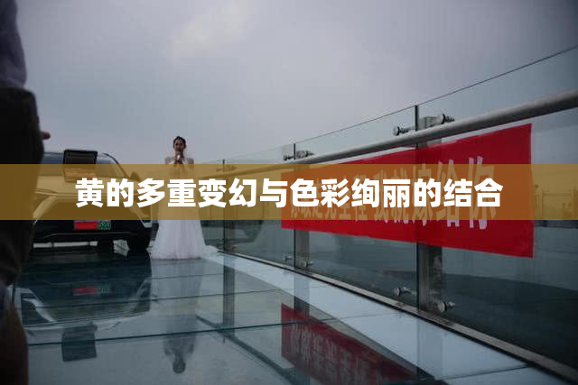 黄的多重变幻与色彩绚丽的结合