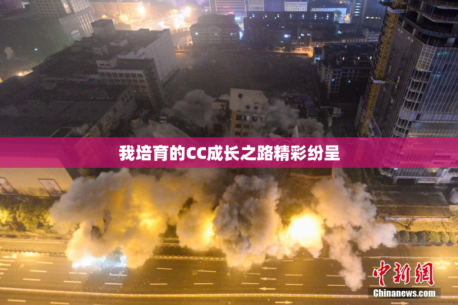 我培育的CC成长之路精彩纷呈