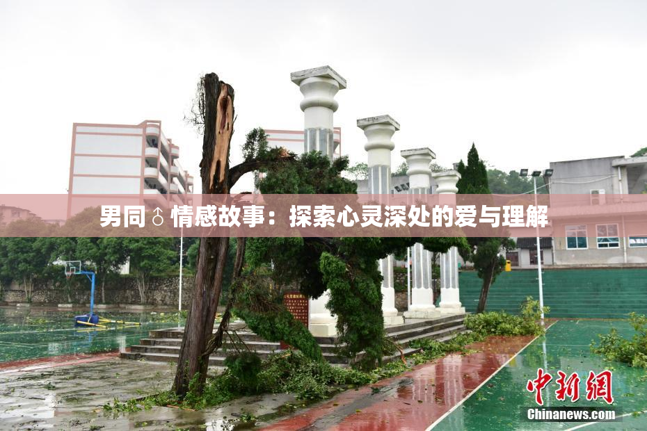 男同♂情感故事：探索心灵深处的爱与理解