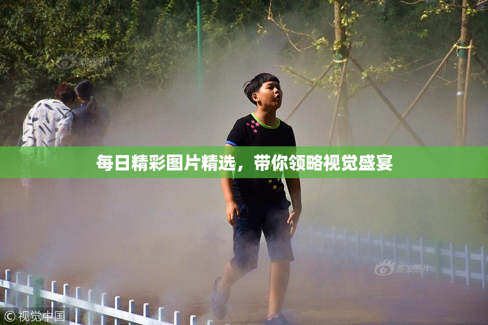 每日精彩图片精选，带你领略视觉盛宴