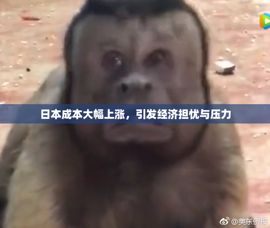 日本成本大幅上涨，引发经济担忧与压力
