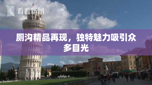 厕沟精品再现，独特魅力吸引众多目光
