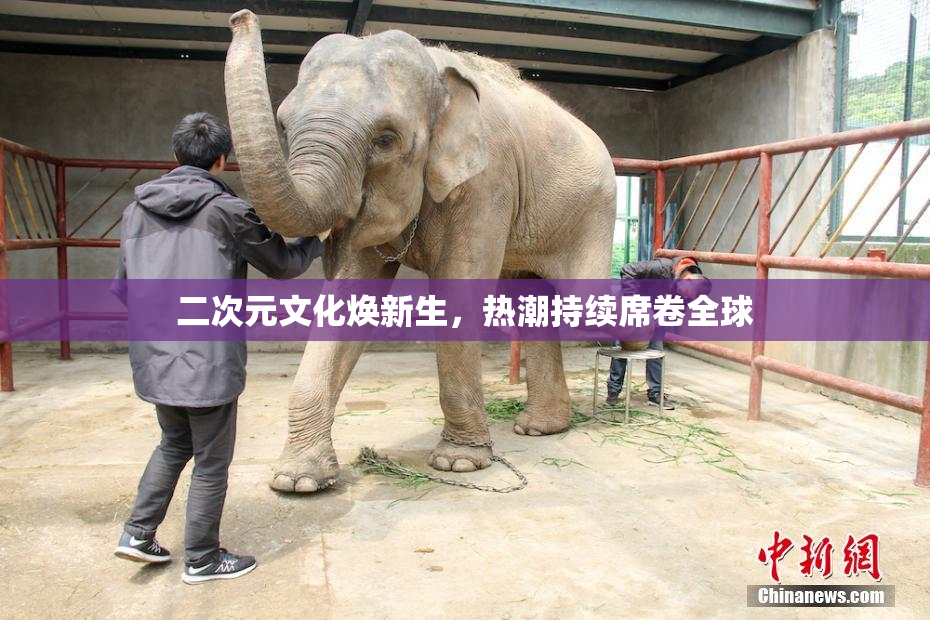 二次元文化焕新生，热潮持续席卷全球