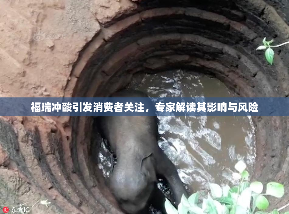 福瑞冲酸引发消费者关注，专家解读其影响与风险