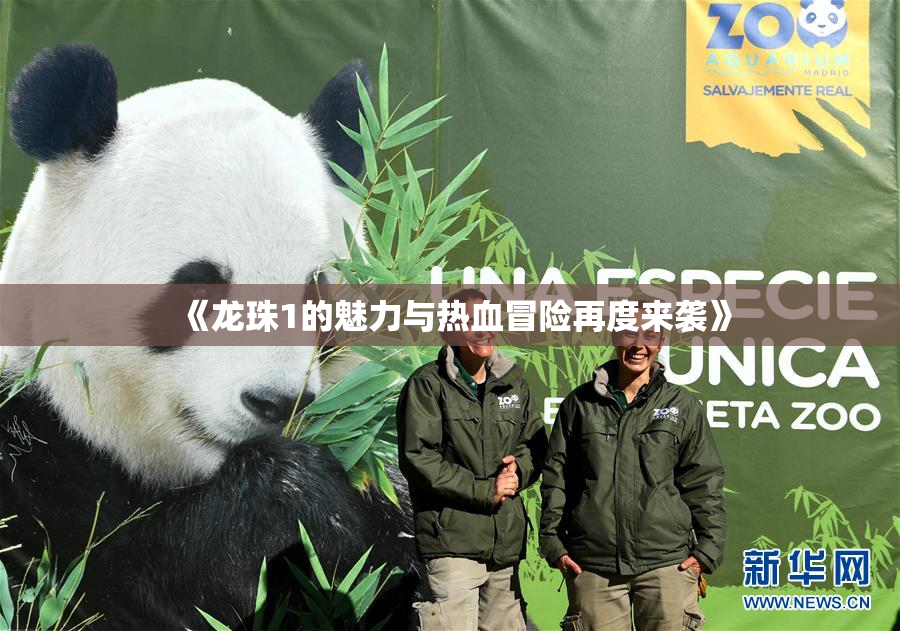 《龙珠1的魅力与热血冒险再度来袭》