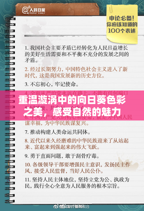 重温漩涡中的向日葵色彩之美，感受自然的魅力