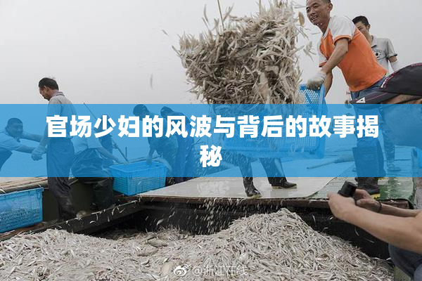 官场少妇的风波与背后的故事揭秘
