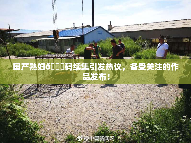 国产熟妇🈚码续集引发热议，备受关注的作品发布！