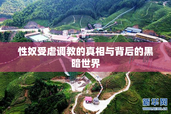 性奴受虐调教的真相与背后的黑暗世界