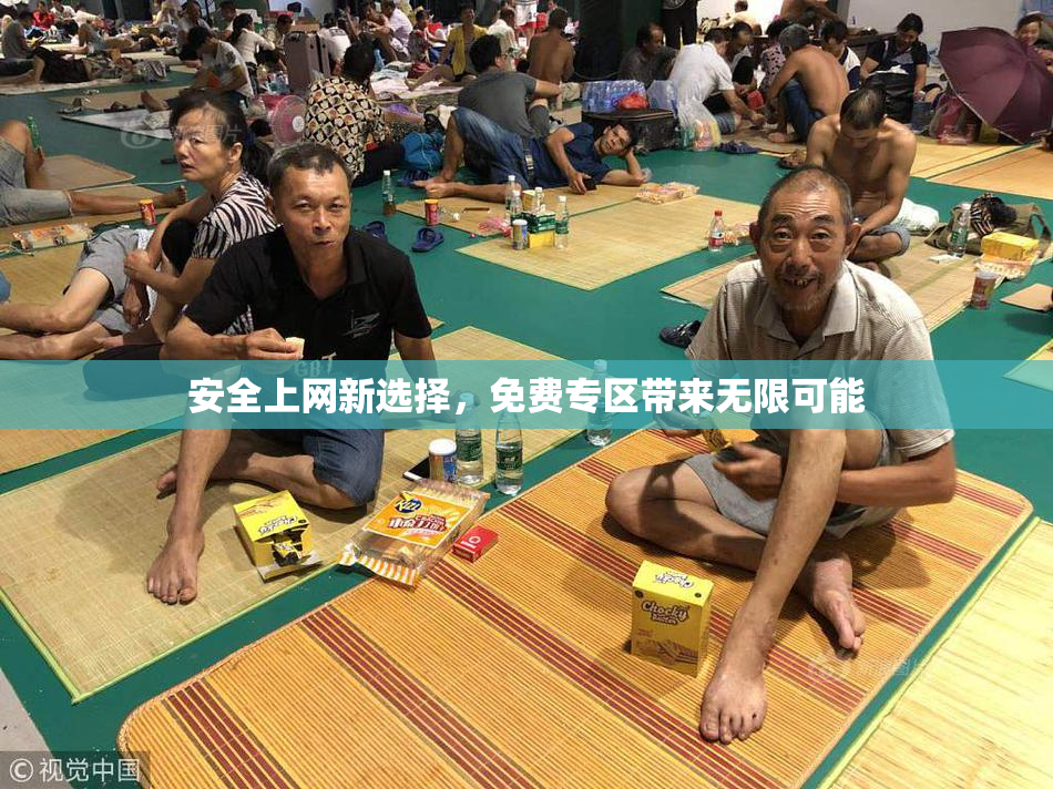 安全上网新选择，免费专区带来无限可能