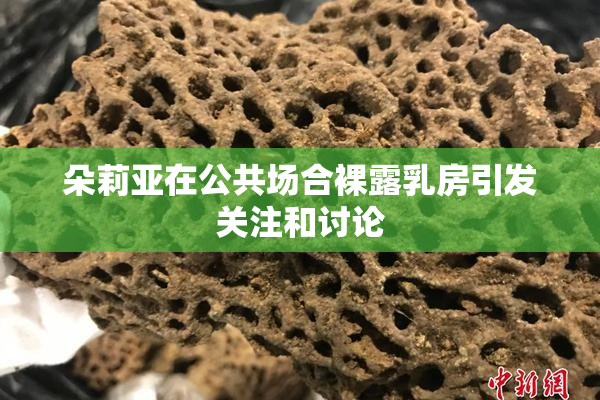 朵莉亚在公共场合裸露乳房引发关注和讨论