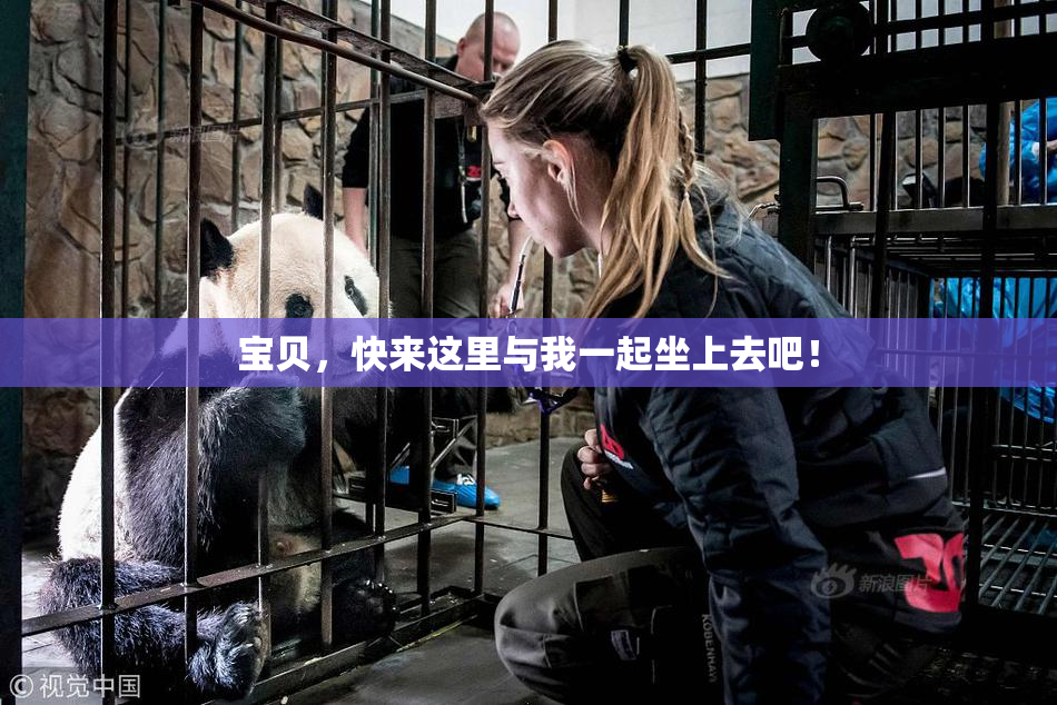 宝贝，快来这里与我一起坐上去吧！