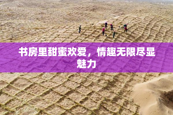 书房里甜蜜欢爱，情趣无限尽显魅力