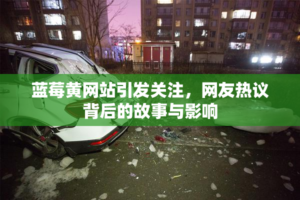 蓝莓黄网站引发关注，网友热议背后的故事与影响