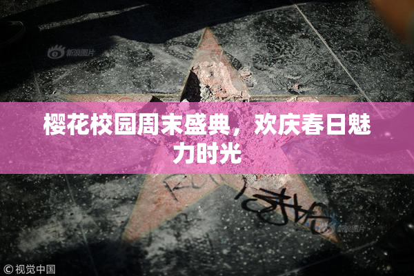 樱花校园周末盛典，欢庆春日魅力时光