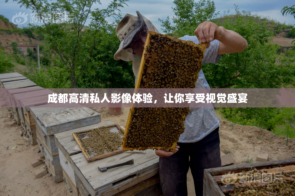 成都高清私人影像体验，让你享受视觉盛宴