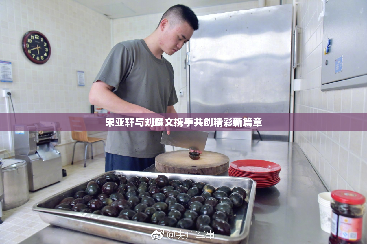 宋亚轩与刘耀文携手共创精彩新篇章