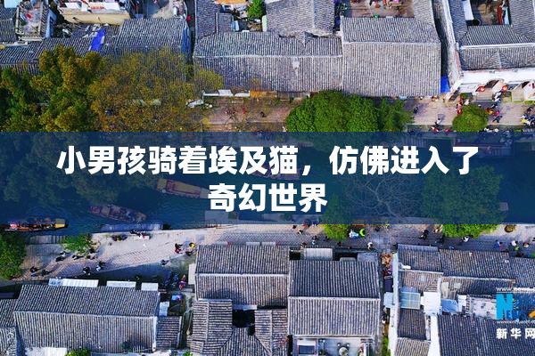 小男孩骑着埃及猫，仿佛进入了奇幻世界