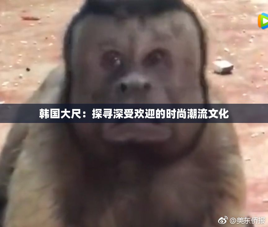 韩国大尺：探寻深受欢迎的时尚潮流文化