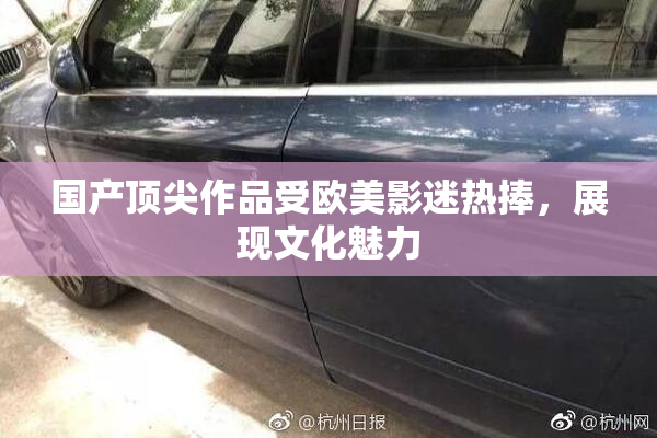 国产顶尖作品受欧美影迷热捧，展现文化魅力