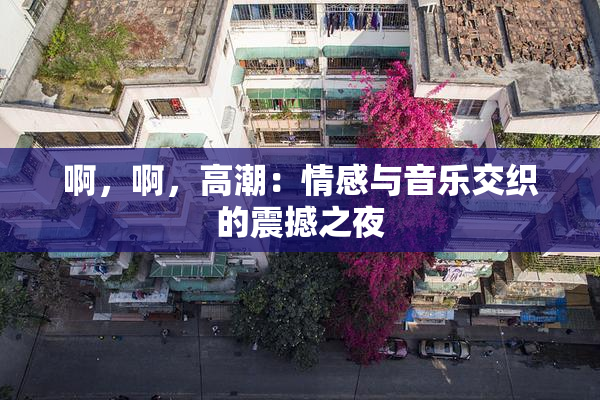 啊，啊，高潮：情感与音乐交织的震撼之夜