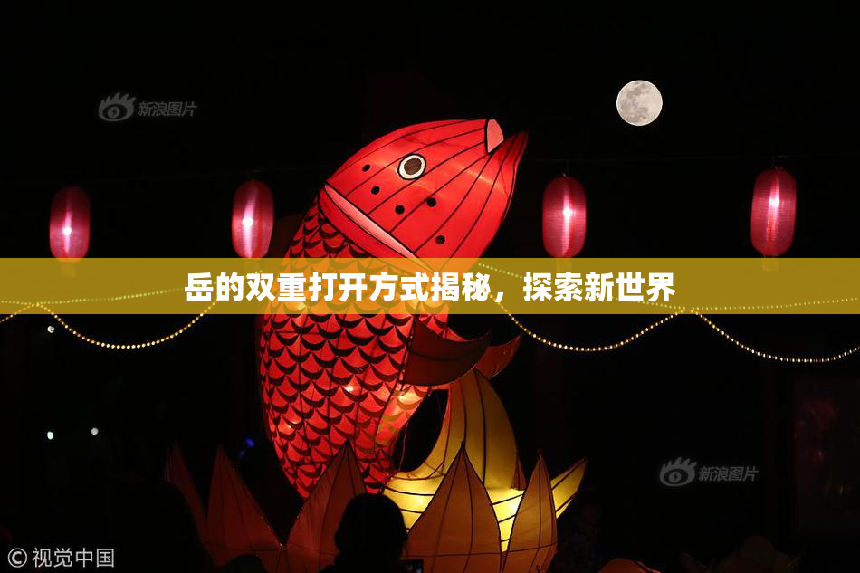 岳的双重打开方式揭秘，探索新世界