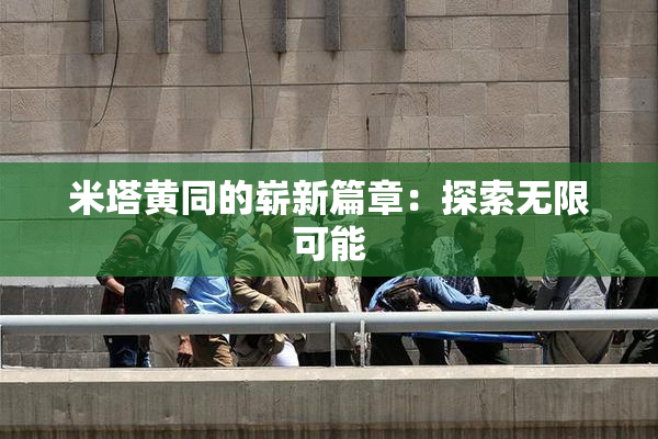 米塔黄同的崭新篇章：探索无限可能