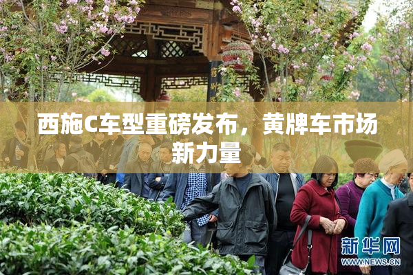 西施C车型重磅发布，黄牌车市场新力量