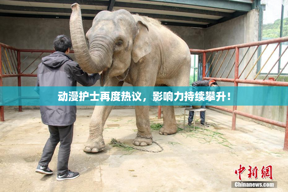 动漫护士再度热议，影响力持续攀升！
