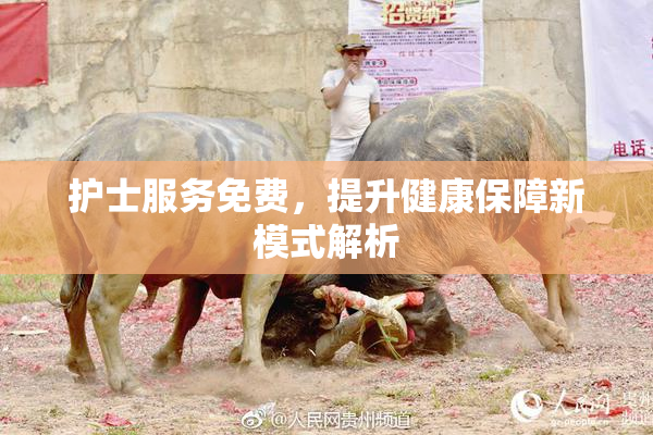 护士服务免费，提升健康保障新模式解析