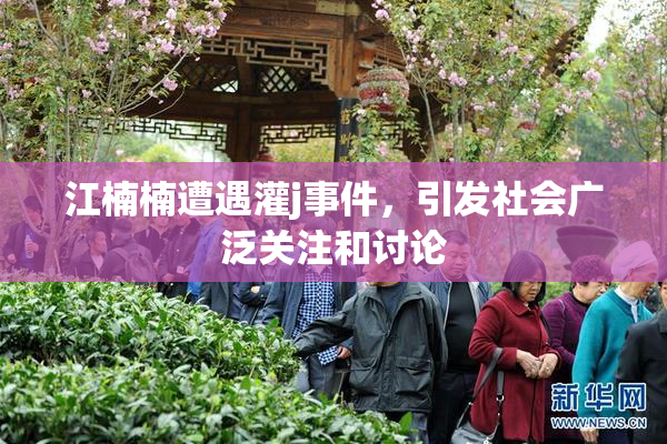 江楠楠遭遇灌j事件，引发社会广泛关注和讨论