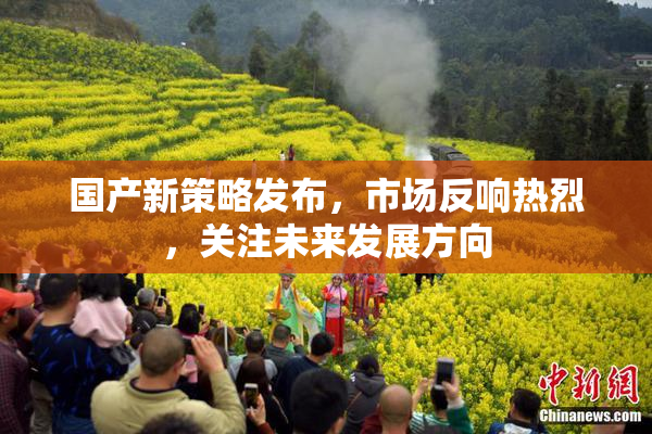 国产新策略发布，市场反响热烈，关注未来发展方向