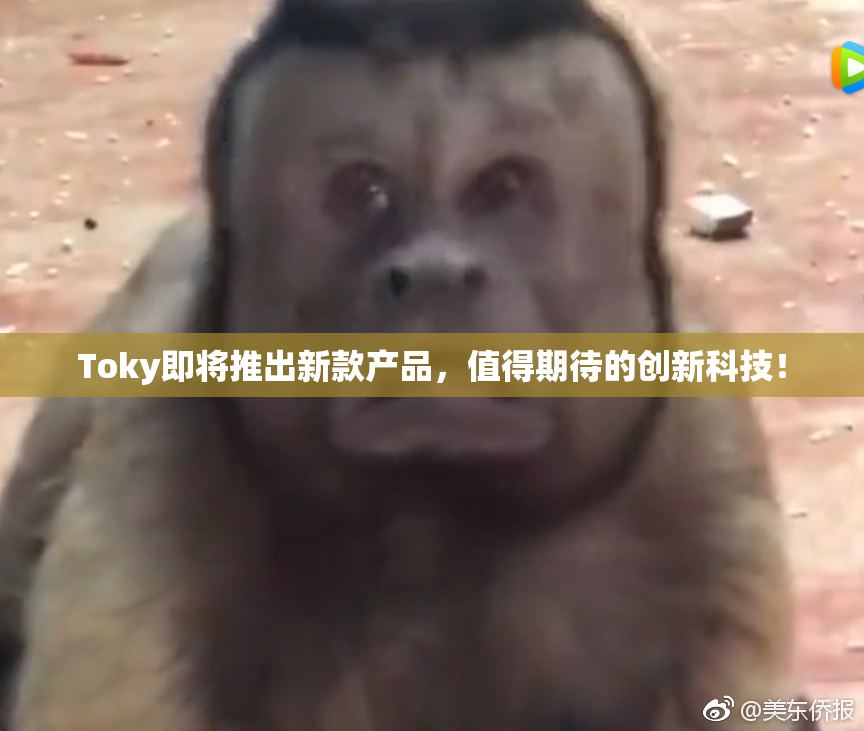 Toky即将推出新款产品，值得期待的创新科技！