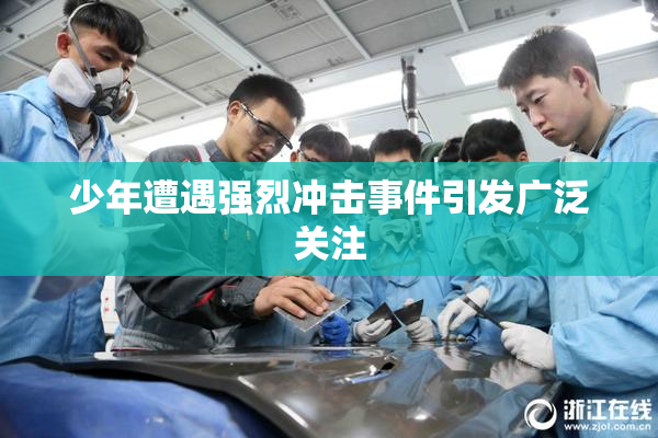 少年遭遇强烈冲击事件引发广泛关注