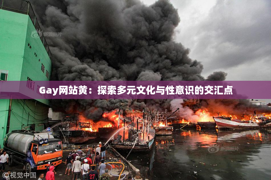 Gay网站黄：探索多元文化与性意识的交汇点