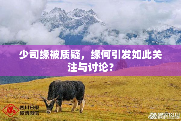 少司缘被质疑，缘何引发如此关注与讨论？