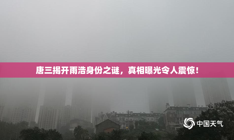 唐三揭开雨浩身份之谜，真相曝光令人震惊！