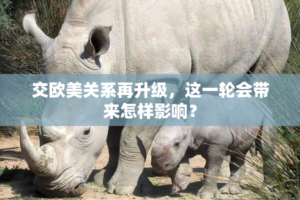 交欧美关系再升级，这一轮会带来怎样影响？