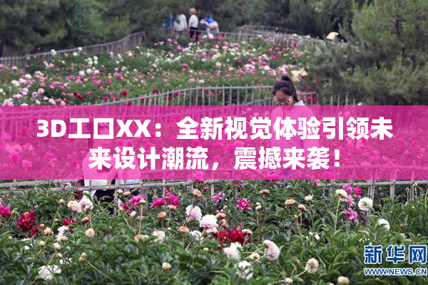 3D工口XX：全新视觉体验引领未来设计潮流，震撼来袭！