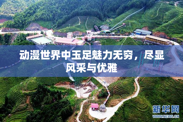 动漫世界中玉足魅力无穷，尽显风采与优雅