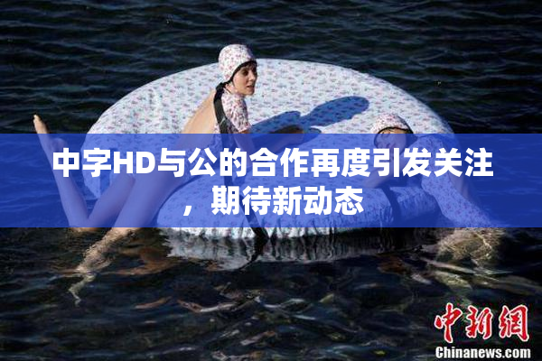 中字HD与公的合作再度引发关注，期待新动态