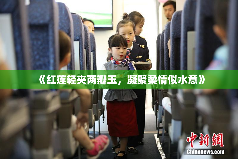 《红莲轻夹两瓣玉，凝聚柔情似水意》