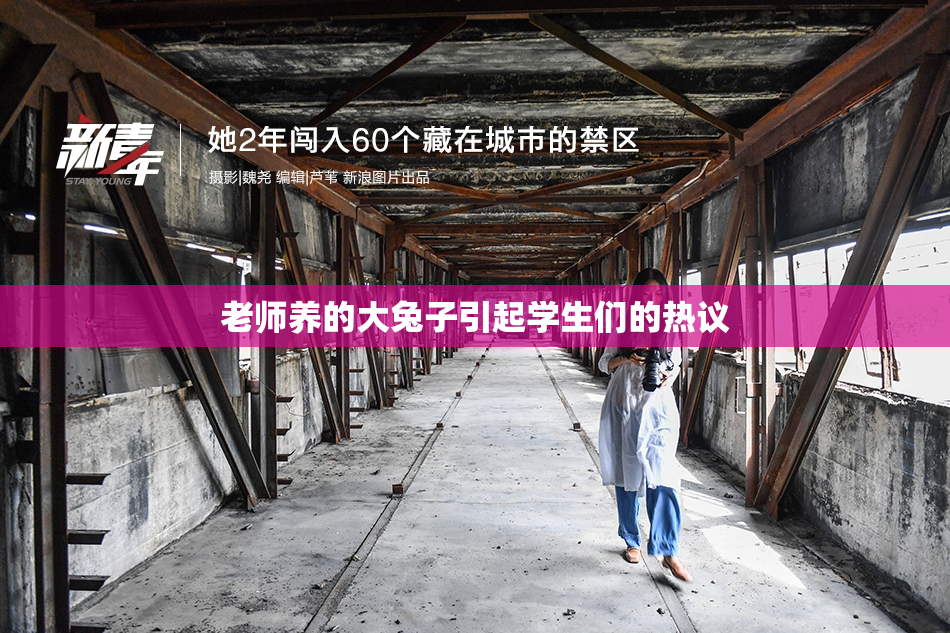 老师养的大兔子引起学生们的热议